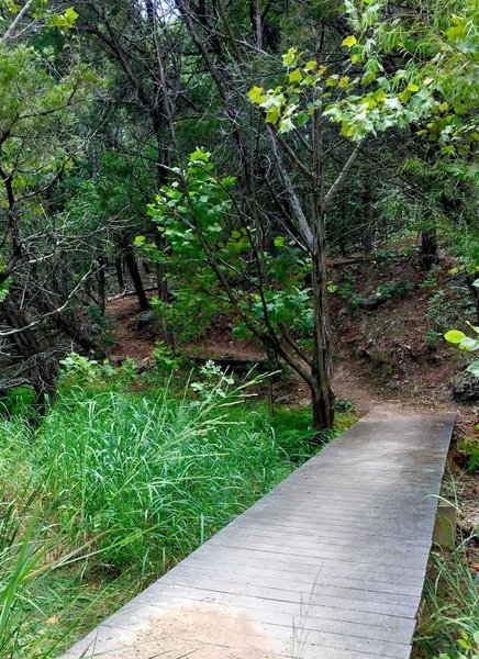 A smooth bridge along the Canyon Trail.