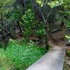 A smooth bridge along the Canyon Trail.