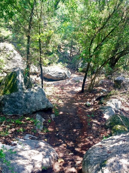 There are a decent amount of boulders, but you can generally pick your way through them without too much effort.