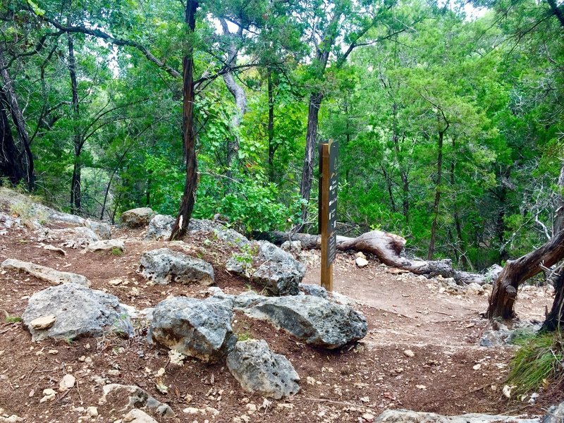 A small trail-hub along the Canyon Trail.