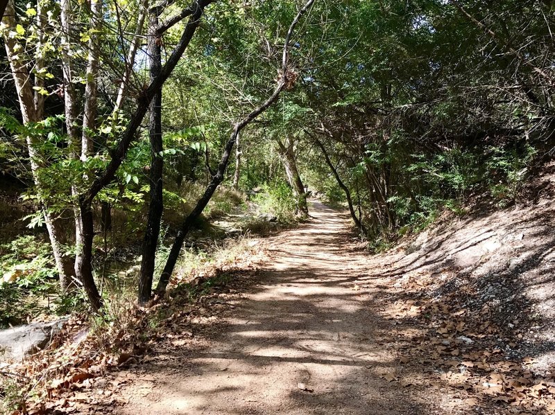 Hamilton Greenbelt II Trail.