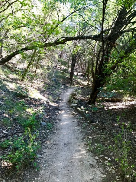 Palos Verdes Trail heading towards Hurst Hollow.