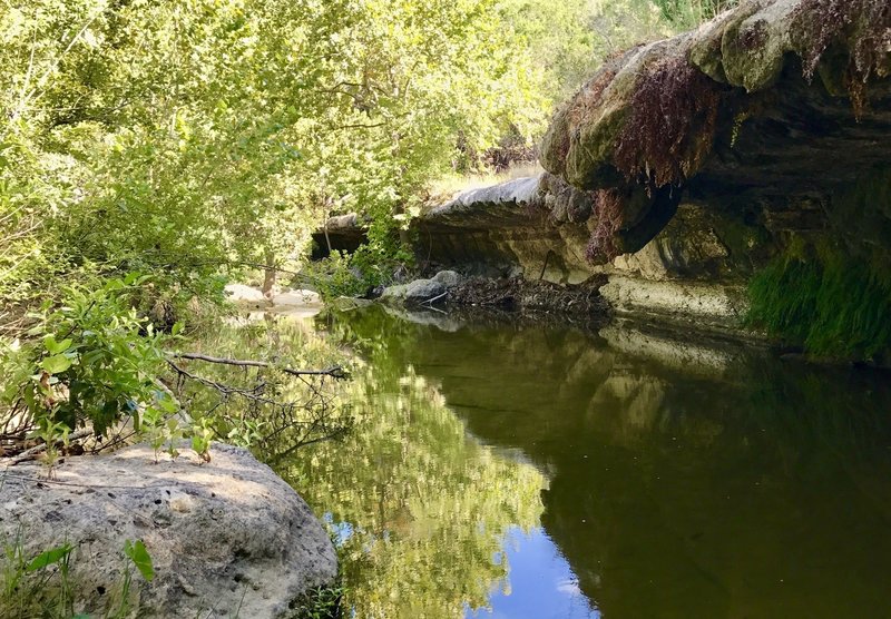 Just a few yards downstream from the Hurst Creek waterfall.