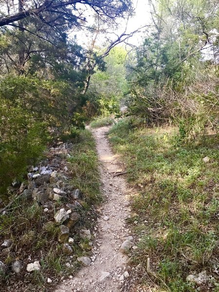 Hurst Hollow Trail headed towards the hollow lookout.