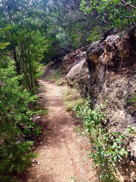 Serene Loop Trail.