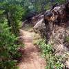 Serene Loop Trail.