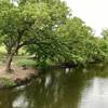 The trail winds along the shore of the creek with picnic benches and a rope swing  (make sure the water is up high enough before swinging out).