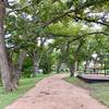 This is a wide easy trail with adjacent playgrounds.