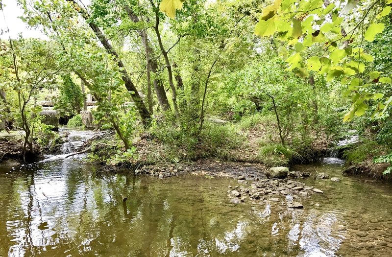 Woodlands Park & Nature Preserve. An easy trail loop around the park and creek/lake area.