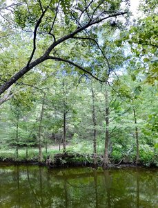 Enjoy a peaceful creek environment.