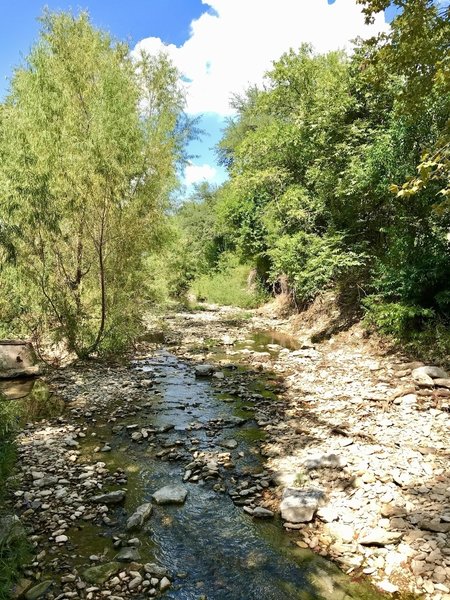 Lower Shoal Creek Trail is just half a block from the downtown Austin REI store!