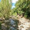 Lower Shoal Creek Trail is just half a block from the downtown Austin REI store!