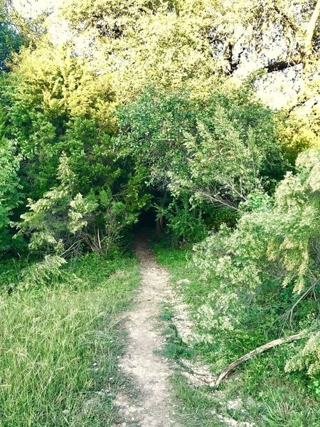 Smith Greenbelt to Hamilton Green Belt Connector TrailHead - Lakeway Drive.