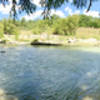 Nice view of the Guadalupe River from the south end of the Bald Cypress Trail.