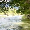 Guadalupe River flowing by cypress trees just down from the south end of Balk Cypress Trail.