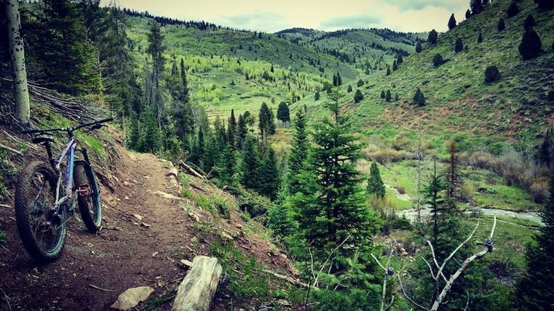 Good sections of bench-cut trail along the South Fork of Tincup Creek