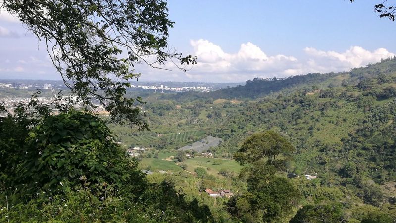 Amazing view at the top of GATO NEGRO.