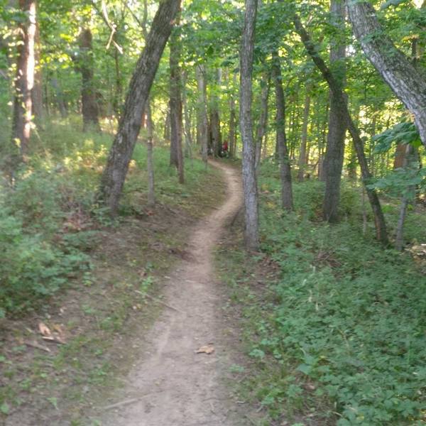 Just above the climb out from the creek on TNT.