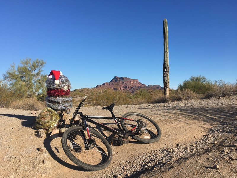 View of the trail during Christmas time.