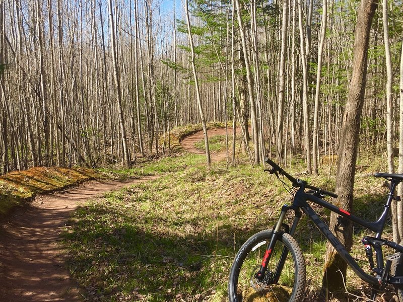 Flowy fun on the Green Trail.