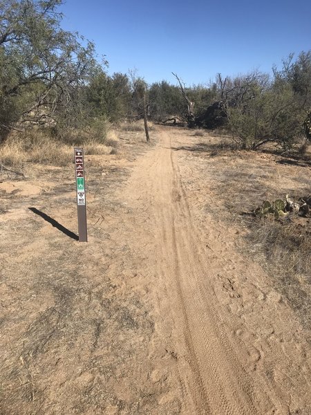 Nice level trail closed to ATVs and other motorized vehicles