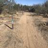 Nice level trail closed to ATVs and other motorized vehicles