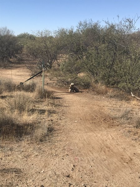 Looking back down the trail from the state land boundary