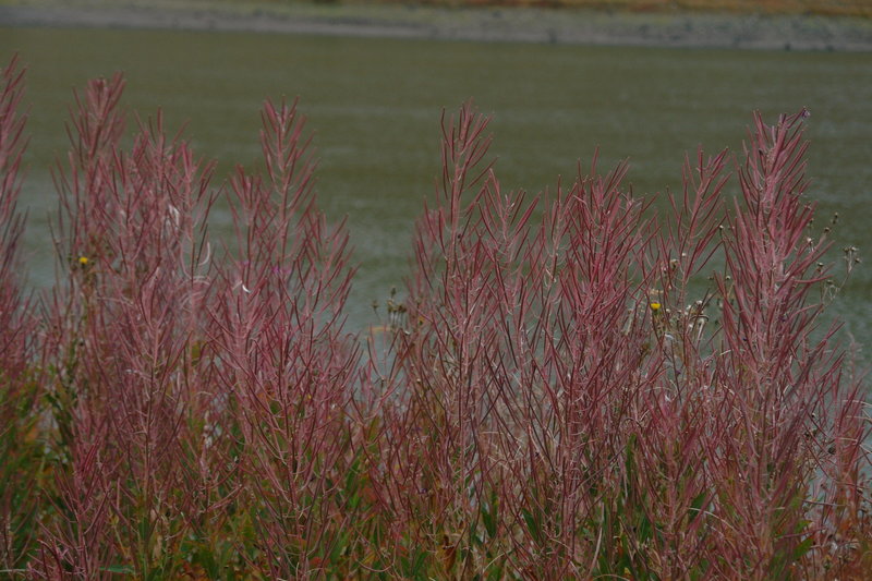 Mantash Lake