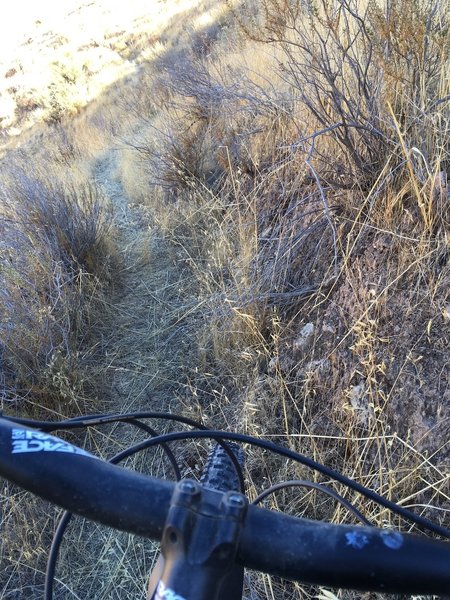 A less used trail on the way down.