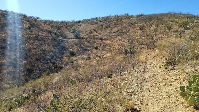 Steepest climbing section.