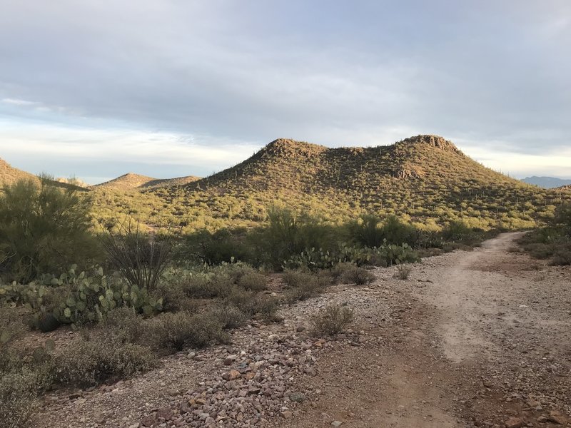 Typical trail.