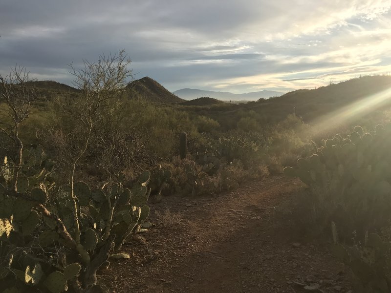 Sunset on the trail.