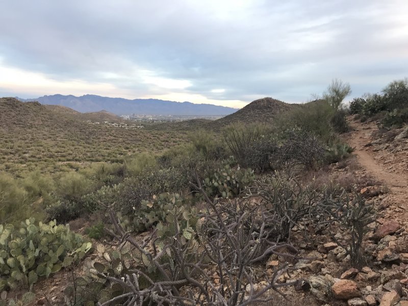 Nice views of Tucson looking east