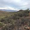 Nice views of Tucson looking east