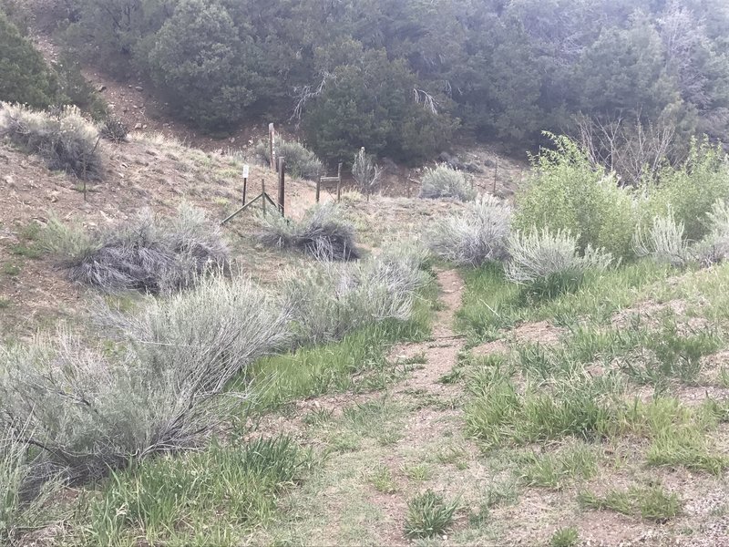 Start & Finish of Rancho de Rio Grande Trail #18 on the east side of HWY 518.