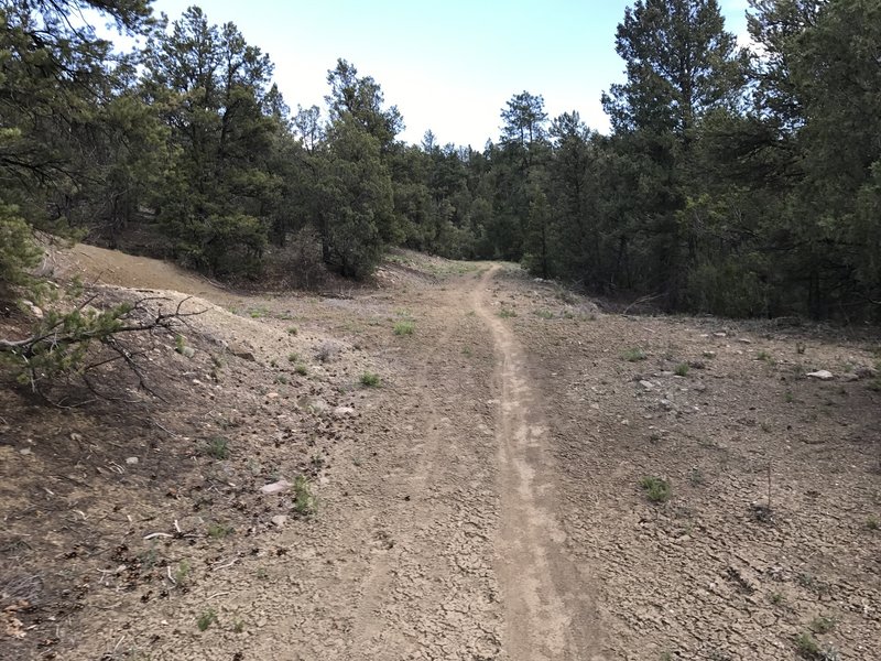 Primitive doubletrack is evolving into singletrack for the majority of this ride.