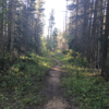 The South Boundary Trail part of the Mondragon Loop.