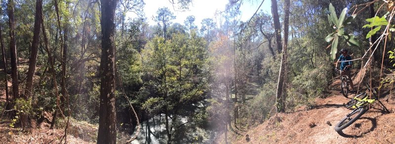 Wide shot of the trail looking into on of the ponds of Northeast Blue.