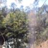 Wide shot of the trail looking into on of the ponds of Northeast Blue.