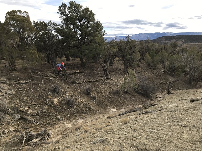 CC models the steep ledge into an abrupt gully