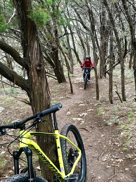 Coming back up Hurst Hollow Trail...