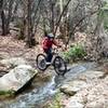 Singletrack creek crossing just off Hamilton Greenbelt Trail