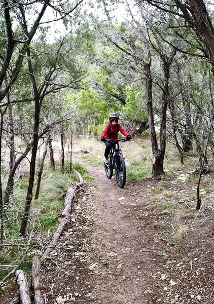 HGB & HH ride....return from Hurst Hollow loop...  great trails! well maintained!