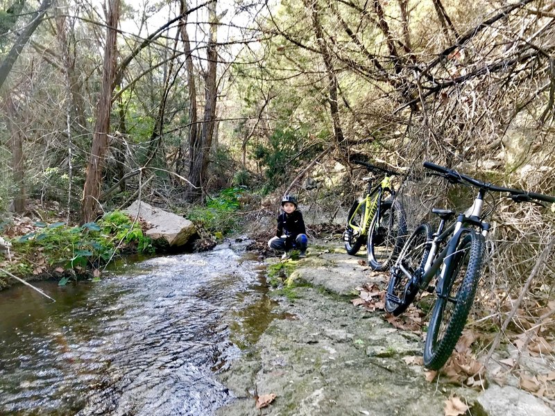 Yaupon Creek crossing just off the Hamilton Greenbelt main trail.