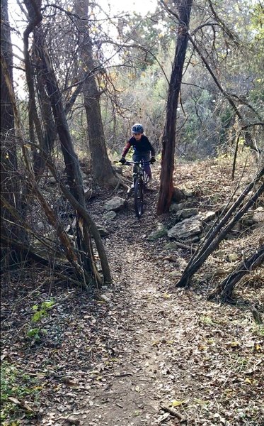 The singletrack that follow along Hamilton Greenbelt trail is great for young riders to practice skills.