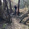 The singletrack that follow along Hamilton Greenbelt trail is great for young riders to practice skills.