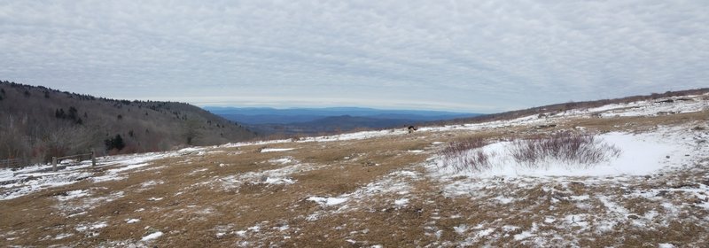 Looking north at iron mountain in the distance.