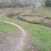 Main trail along creek...