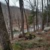 Cumberland River viewed from Sheltowee Trace section 27.