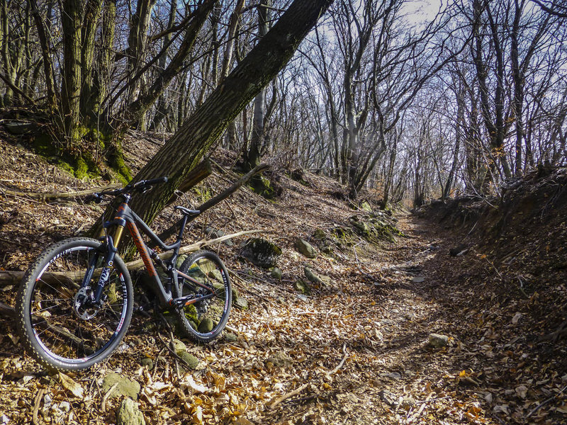 The more difficult singletrack section on the way to Orino is often filled with leaf litter